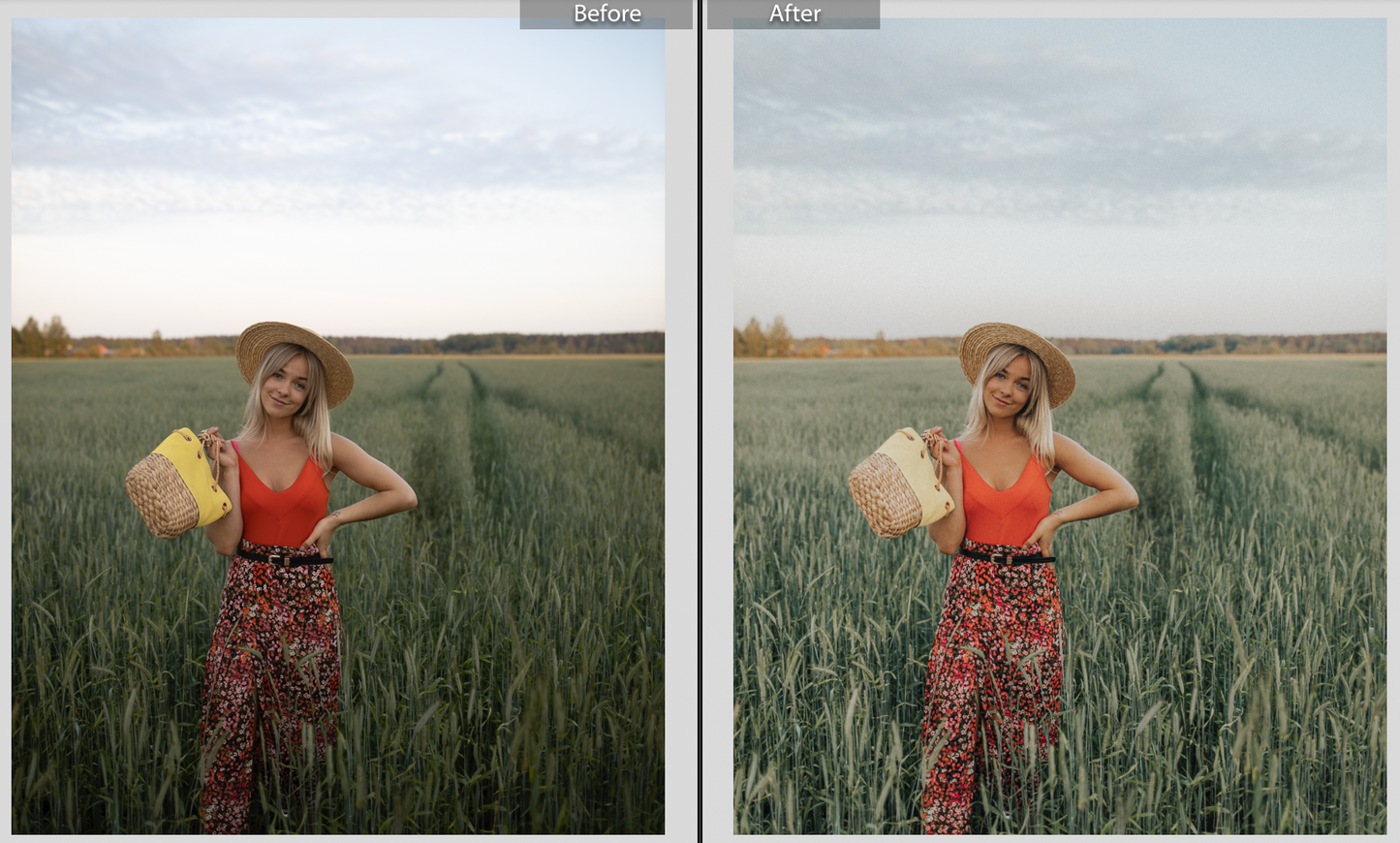 Everyday Lightroom Presets Pack